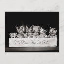 Recherche de chaton vintage cartes postales Noir et blanc