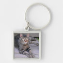 Search for brown cat keychains Kitty