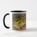Recherche de cornue tasses Grenouille cornu