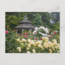 Search for local landmark postcards Usa