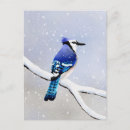 Search for jay invitations Watercolor
