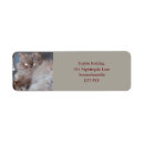 Search for cat return address labels Animal