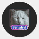 Search for cat meme stickers Holiday store