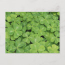 Recherche de oseille Vert