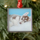 Search for husky ornaments Alaskan malamute