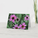 Recherche de horticulture vœux cartes Nature