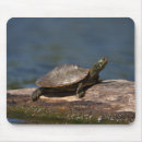 Search for painted turtles mousepads Wildlife