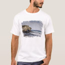 Search for aka tshirts Scenic