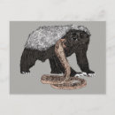 Search for badgers postcards Illustration
