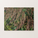 Search for grass puzzles Nature