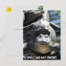 Search for gators postcards Florida