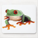 Recherche de grenouille verte tapis souris Amphibie
