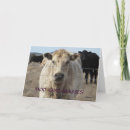Recherche de moo moo thank you cards Merci