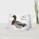 Search for mallard duck christmas cards Ducks