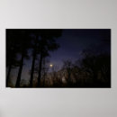 Search for fall moons posters Night