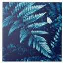 Search for fern tiles Nature