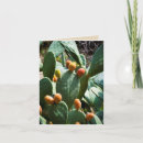 Search for prickly cards Desert