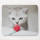 Search for smells electronics Nature