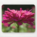 Search for fuchsia flower mousepads Garden