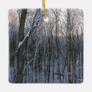 Recherche de neigeux ornements Forêt