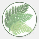 Recherche de moser autocollants Vert mousse