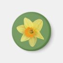 Search for spring daffodils magnets Bloom
