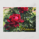 Recherche de rose rouge foncé cartes postales Fleur