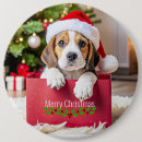 Recherche de beagle badges Noël