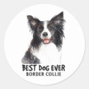 Search for border collie lover stickers Puppy