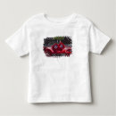 Search for fuzzy dice tshirts Dashboard