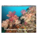 Search for shark calendars Marine