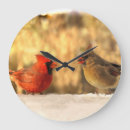 Recherche de oiseaux chanteurs horloges Hiver