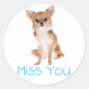 Recherche de chihuahuas stickers Chien