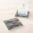 Search for fawn coasters Animals in the wild