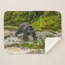 Search for danita delimont blankets Hunting