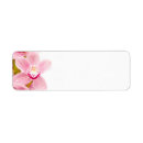 Search for orchids return address labels Violet