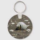 Search for summer scene keychains Sea