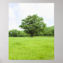 Recherche de arbre plante posters Dehors