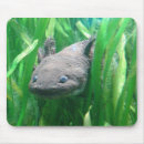 Search for rare animals mousepads Endangered