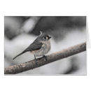 Search for titmouse Winter