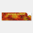 Search for botany bumper stickers Orange