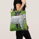 Recherche de veau sacs Animal