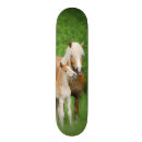 Search for pony skateboards Animal