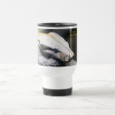 Recherche de boa tasses Reptiles