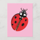 Search for red bug postcards Beetle