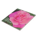 Recherche de sentir carreaux Rose