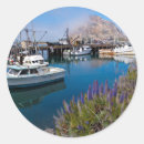 Search for morro stickers Pacific