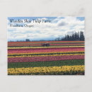 Recherche de wooden cartes postales Tulip