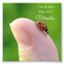 Recherche de de coccinelle posters Jardin