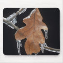 Recherche de chêne tapis souris Feuillage